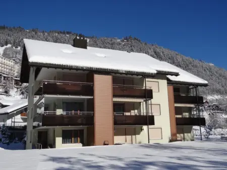 Appartement à Engelberg, Blumenweg 8 - L440212