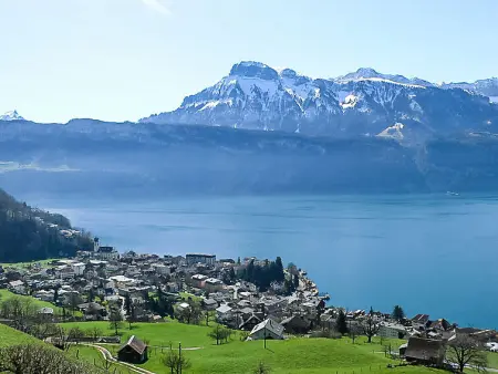 Platten, Appartement 2 personnes à Gersau - Photo 11