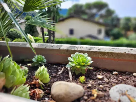 App. 21, Appartement 4 personnes à Caslano - Photo 18