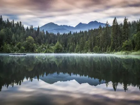 Comfort Alpine, Appartement 4 personnes à Laax - Photo 33