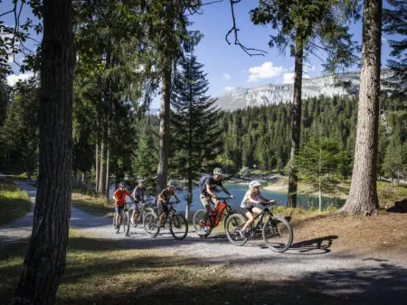 Comfort Alpine, Appartement 4 personnes à Laax - Photo 35