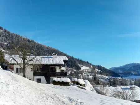 Muotta Sulegl 4, Appartement 4 personnes à Laax - Photo 21
