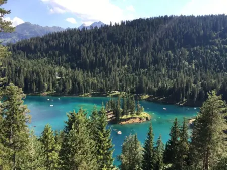 Schumellins (LAA400), Appartement 2 personnes à Laax - Photo 29