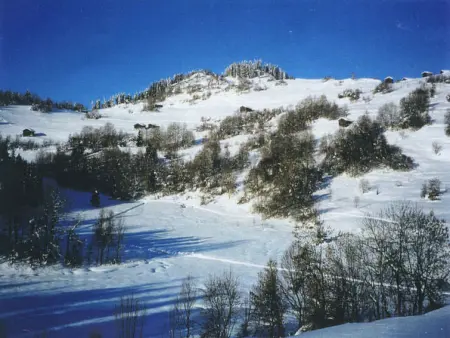 Casa Migiur, Appartement 6 personnes à Laax - Photo 12