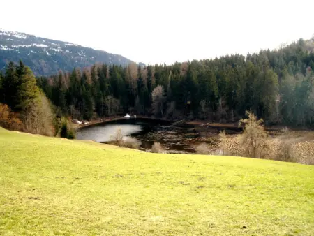 Casa Migiur, Appartement 6 personnes à Laax - Photo 14
