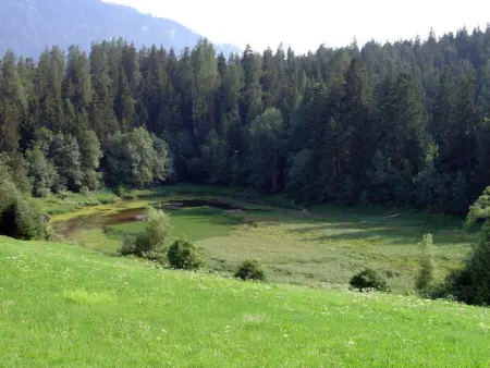 Casa Migiur, Appartement 6 personnes à Laax - Photo 25