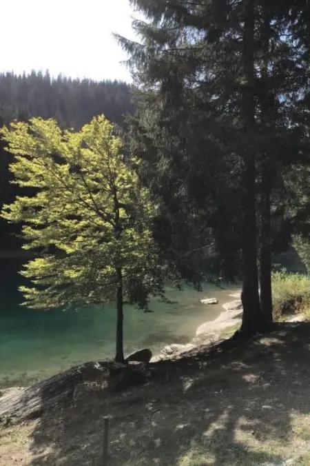 Casa Migiur, Appartement 6 personnes à Laax - Photo 36