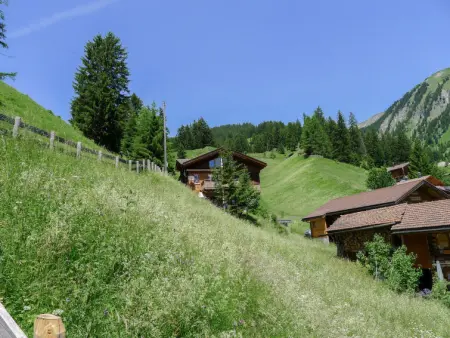 Montana, Appartement 4 personnes à Langwies - Photo 16