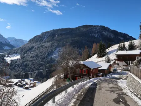 Montana, Appartement 4 personnes à Langwies - Photo 23