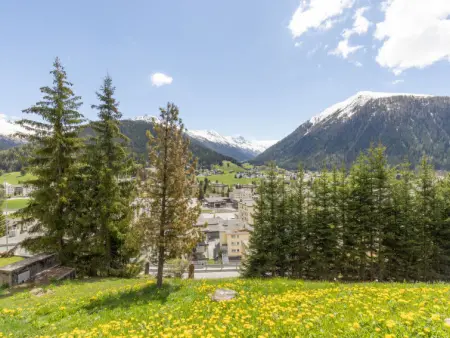 Guardaval (Utoring), Appartement 2 personnes à Davos - Photo 26