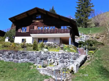 HasliRent, Dornen, (Hasliberg Goldern),, Appartement 8 personnes à Hasliberg - Photo 13