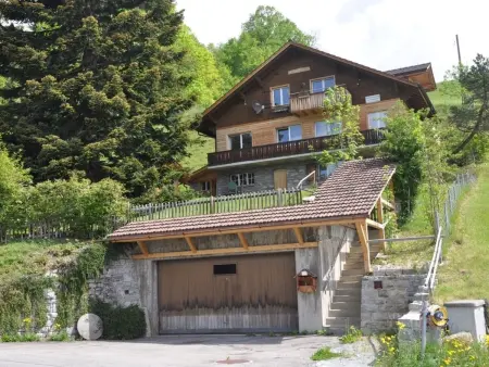 HasliRent, Resti, (Hasliberg Reuti),, Appartement 5 personnes à Hasliberg - Photo 11