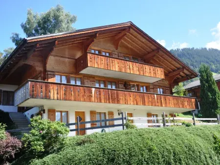 HasliRent, Diana, (Hasliberg Reuti),, Appartement 6 personnes à Hasliberg - Photo 10