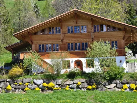 HasliRent, Holiboimi, (Hasliberg Wasserwendi),, Appartement 5 personnes à Hasliberg - Photo 11