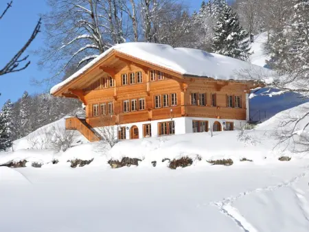 HasliRent, Holiboimi, (Hasliberg Wasserwendi),, Appartement 5 personnes à Hasliberg - Photo 12