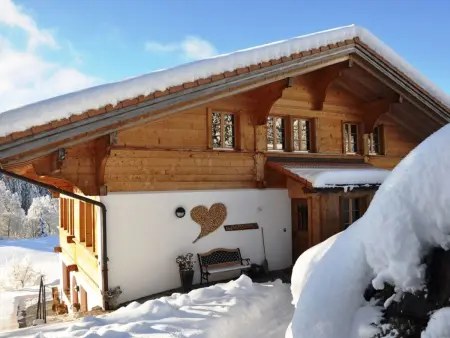 HasliRent, Holiboimi, (Hasliberg Wasserwendi),, Appartement 5 personnes à Hasliberg - Photo 13