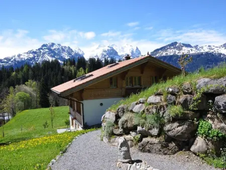 HasliRent, Holiboimi, (Hasliberg Wasserwendi),, Appartement 5 personnes à Hasliberg - Photo 16