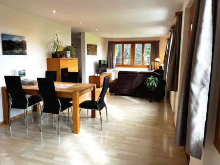 HasliRent, Holiboimi, (Hasliberg Wasserwendi),, Appartement 5 personnes à Hasliberg - Photo 17