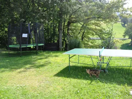HasliRent, Holiboimi, (Hasliberg Wasserwendi),, Appartement 5 personnes à Hasliberg - Photo 22