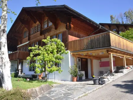HasliRent, Stubeli, (Hasliberg Reuti),, Appartement 2 personnes à Hasliberg - Photo 9