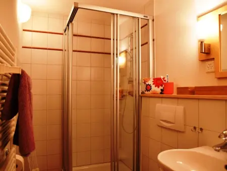 HasliRent, Wandelhorn 2, (Hasliberg Reuti),, Appartement 6 personnes à Hasliberg - Photo 5