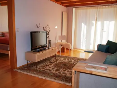HasliRent, Wandelhorn 2, (Hasliberg Reuti),, Appartement 6 personnes à Hasliberg - Photo 8