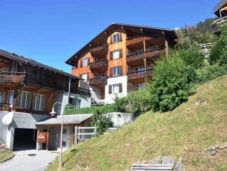 HasliRent, Wandelhorn 2, (Hasliberg Reuti),, Appartement 6 personnes à Hasliberg - Photo 19