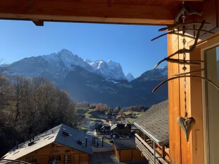 HasliRent, Wandelhorn 2, (Hasliberg Reuti),, Appartement 6 personnes à Hasliberg - Photo 25