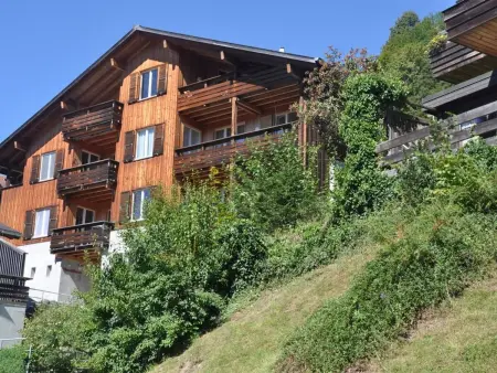 HasliRent, Wandelhorn, (Hasliberg Reuti),, Appartement 6 personnes à Hasliberg - Photo 23