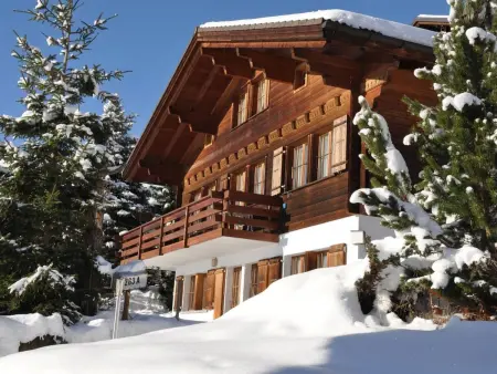 HasliRent, Cosy, (Hasliberg Wasserwendi),, Appartement 4 personnes à Hasliberg - Photo 12