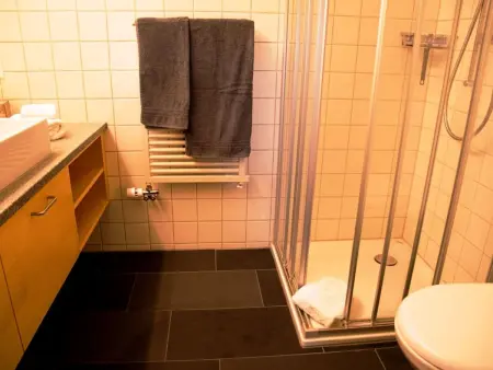 HasliRent, Eiger, (Hasliberg Reuti),, Appartement 8 personnes à Hasliberg - Photo 8