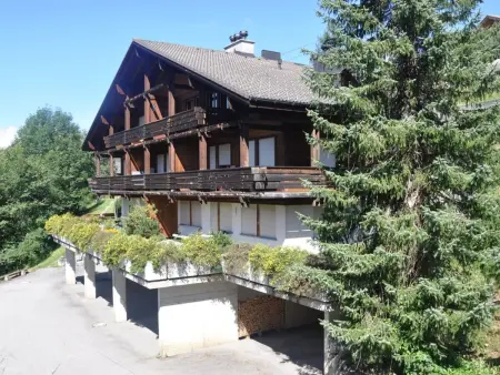 HasliRent, Eiger, (Hasliberg Reuti),, Appartement 8 personnes à Hasliberg - Photo 19