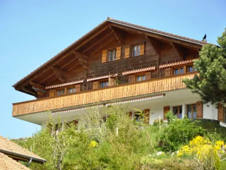 HasliRent, Gärbi 2, (Hasliberg Reuti),, Appartement 4 personnes à Hasliberg - Photo 10