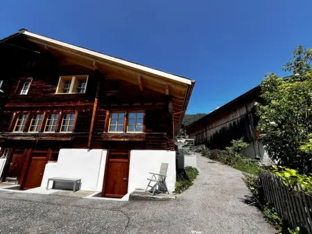 HasliRent, Alpenglanz, (Hasliberg Hohfluh),, Appartement 6 personnes à Hasliberg - Photo 13