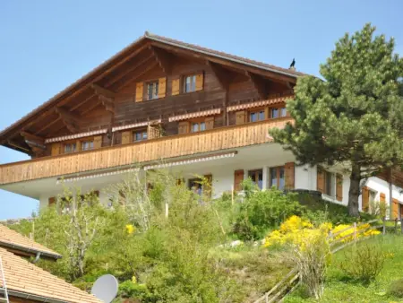 HasliRent, Gärbi, (Hasliberg Reuti),, Appartement 4 personnes à Hasliberg - Photo 7