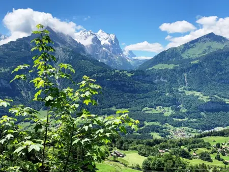 HasliRent, Wetterhornblick, (Hasliberg Reuti),, Appartement 5 personnes à Hasliberg - Photo 14