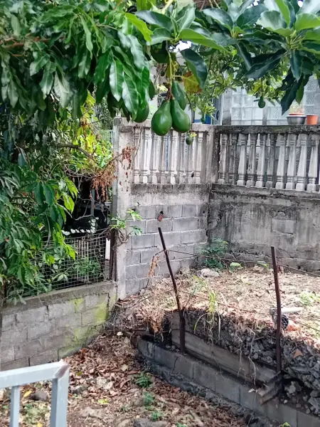 Maison avec terrasse près de Saint-Leu – 100 m² avec jardin - Photo 6