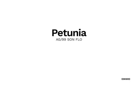 PETUNIA, Maison 2 personnes à Santa Margalida - Photo 35
