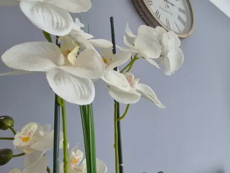 Appartement moderne au cœur de l'Océan - 4 pers. - Photo 10