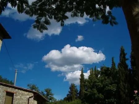 La Loggia, Appartement 4 personnes à Gaiole in Chianti - Photo 41