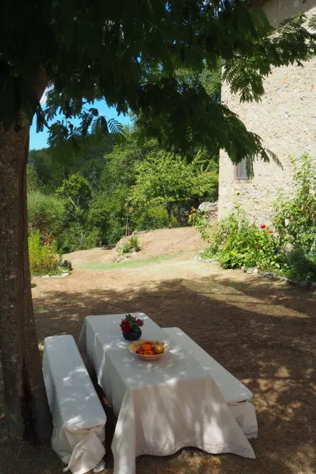 La Loggia, Appartement 4 personnes à Gaiole in Chianti - Photo 42