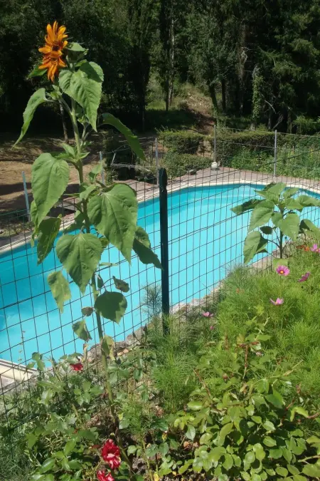 La Loggia, Appartement 4 personnes à Gaiole in Chianti - Photo 45