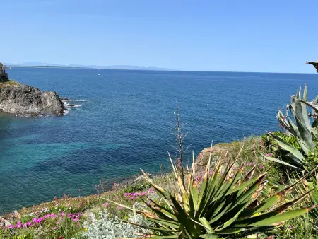 Appartement T2, vue mer, parking - 4 pers., Appartement 4 personnes à Port Vendres - Photo 14