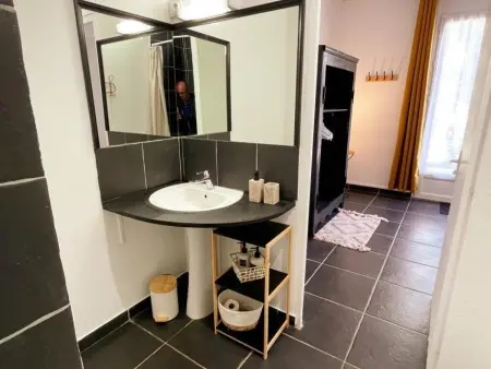 Gîte avec animaux admis proche Loire, Gite 10 personnes à Rochecorbon - Photo 28