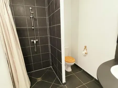 Gîte avec animaux admis proche Loire, Gite 10 personnes à Rochecorbon - Photo 29
