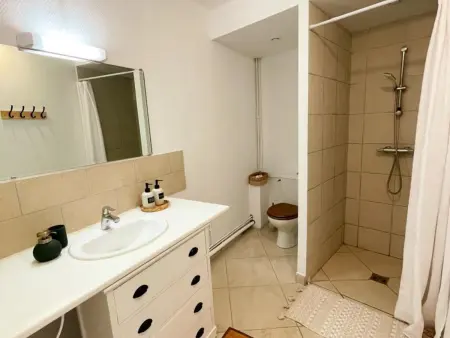 Gîte avec animaux admis proche Loire, Gite 10 personnes à Rochecorbon - Photo 33