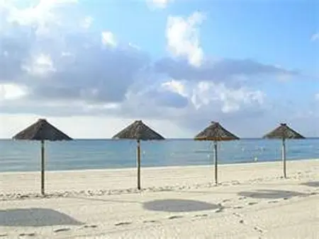 Studio charmant près de la plage - 3 pers., Appartement 3 personnes à Prunelli di Fiumorbo - Photo 8