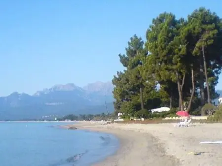 Studio charmant près de la plage - 3 pers., Appartement 3 personnes à Prunelli di Fiumorbo - Photo 9