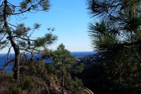 166153, Les Terrasses de l'Esterel - Photo 30