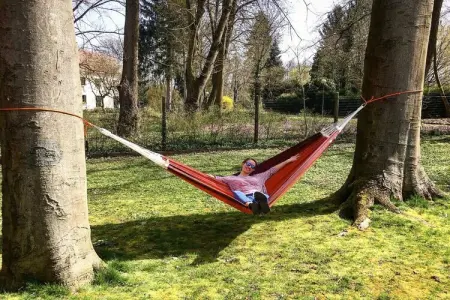 227098, Le Bois de Robin - Photo 3